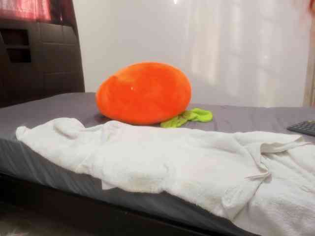 SherryBlossom webcam