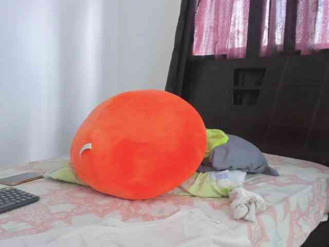 SherryBlossom webcam