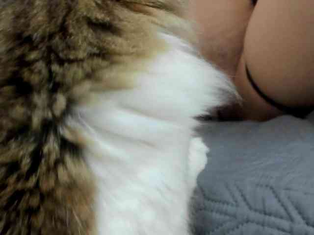 SherryBlossom webcam