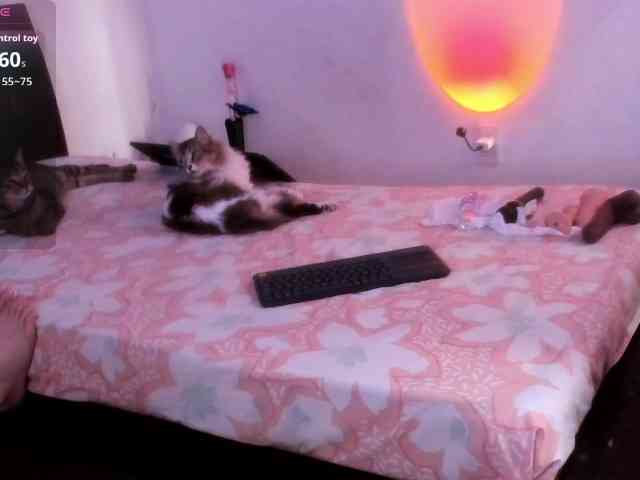 SherryBlossom webcam