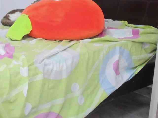 SherryBlossom webcam