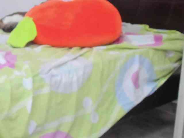 SherryBlossom webcam