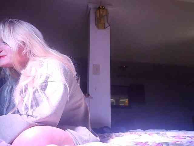 Bellateal webcam