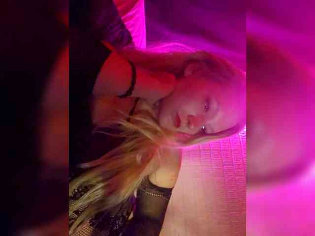 Bellateal webcam