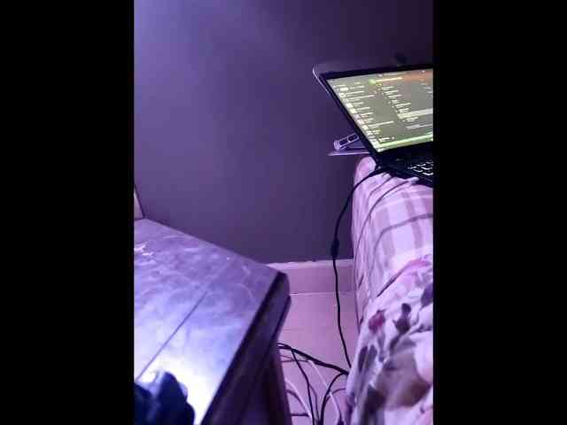 Bellateal webcam