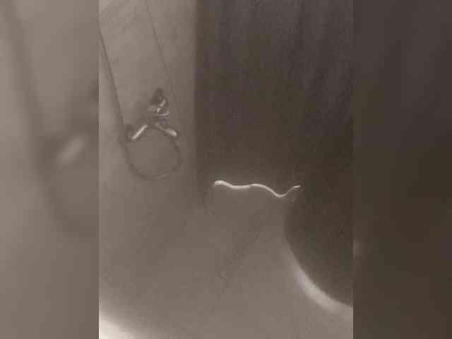 Daniil-1a Live Webcam on BongaCams