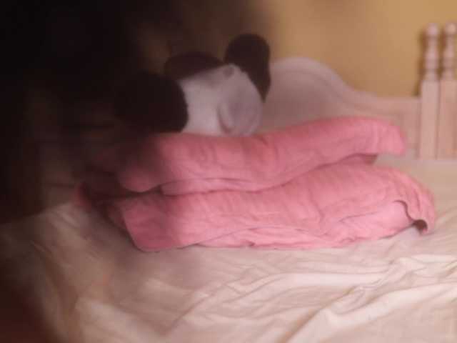 suzysuz from BongaCams is Freechat