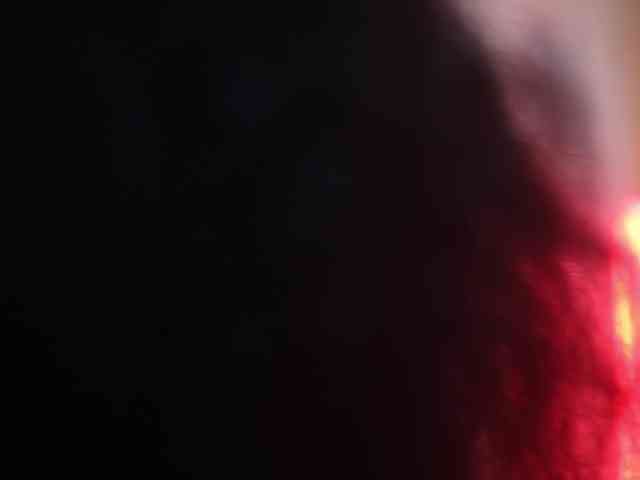 suzysuz webcam