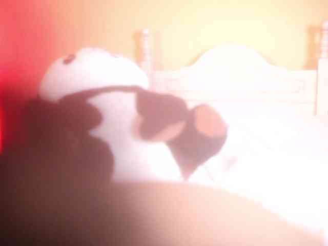suzysuz webcam