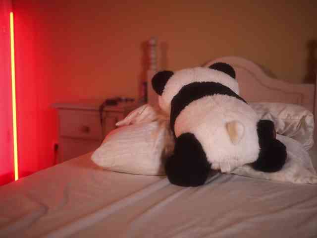 suzysuz webcam