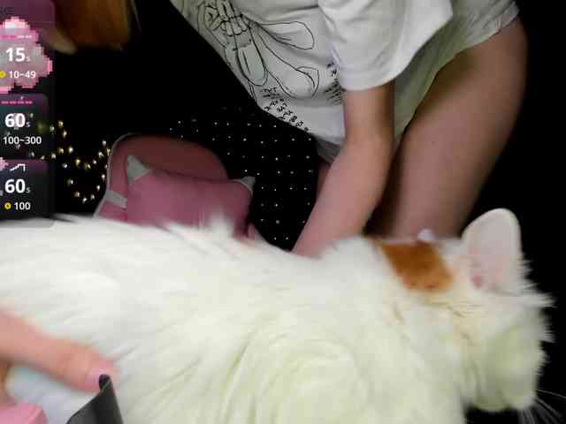 Polikinesis webcam