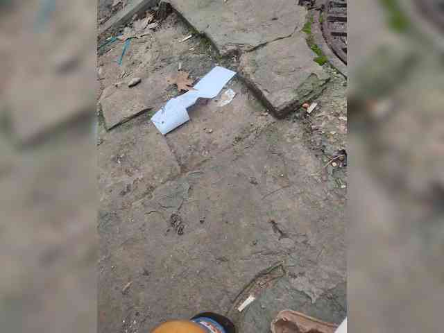 Sazaee Live Webcam on BongaCams