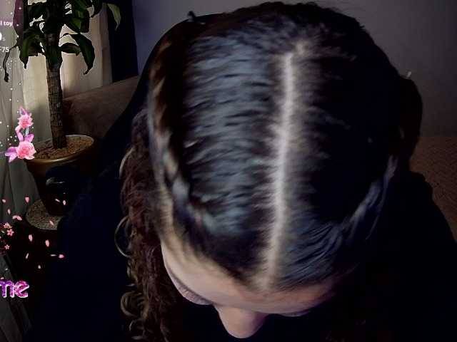 Preview of silverlbeekerry