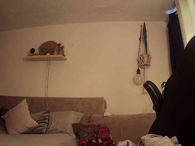 Silverlbeekerry webcam