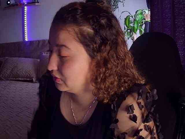 Silverlbeekerry webcam