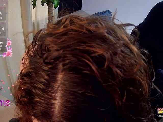 Silverlbeekerry webcam