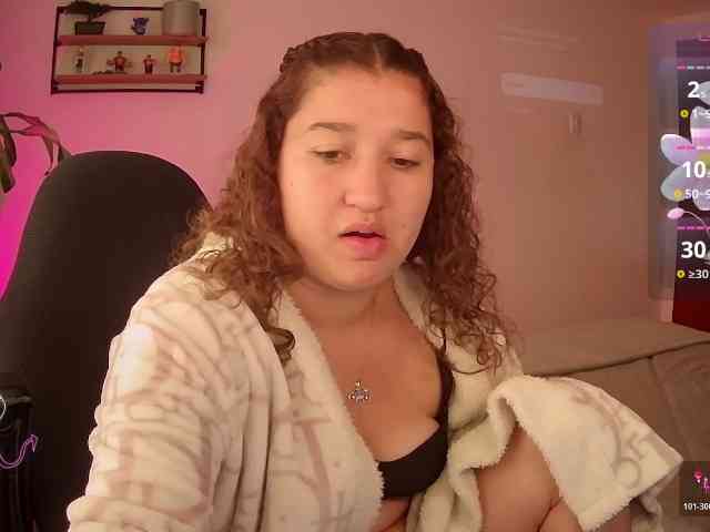 Silverlbeekerry webcam