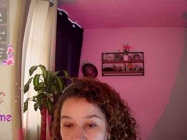 Silverlbeekerry webcam