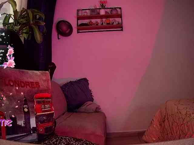 Silverlbeekerry webcam