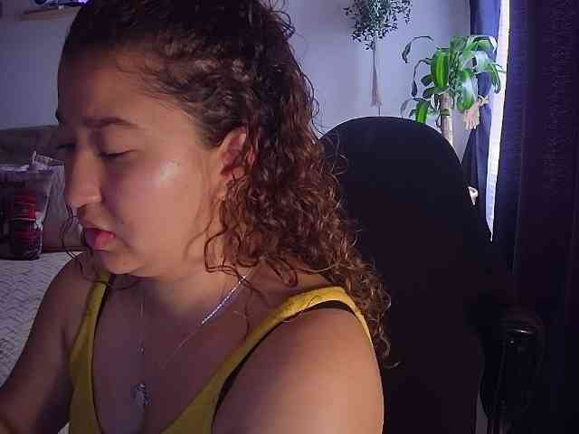 Silverlbeekerry webcam