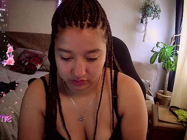 Silverlbeekerry webcam