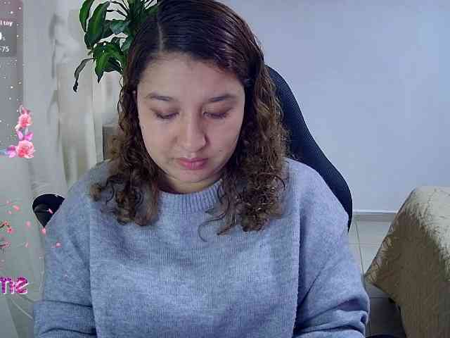 Silverlbeekerry webcam