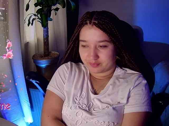 Silverlbeekerry webcam