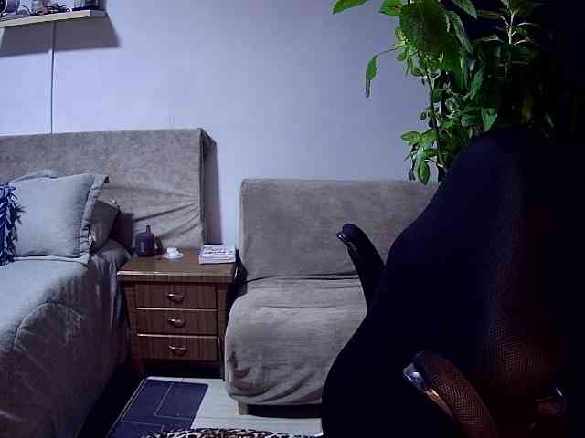 Silverlbeekerry webcam