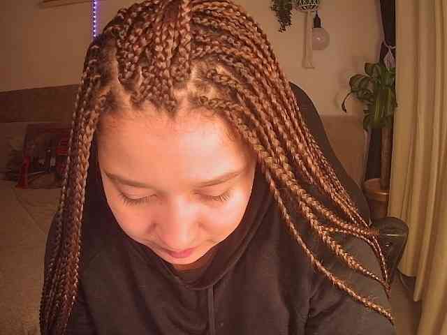 Silverlbeekerry webcam