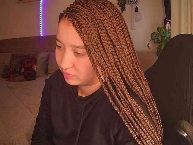 Silverlbeekerry webcam