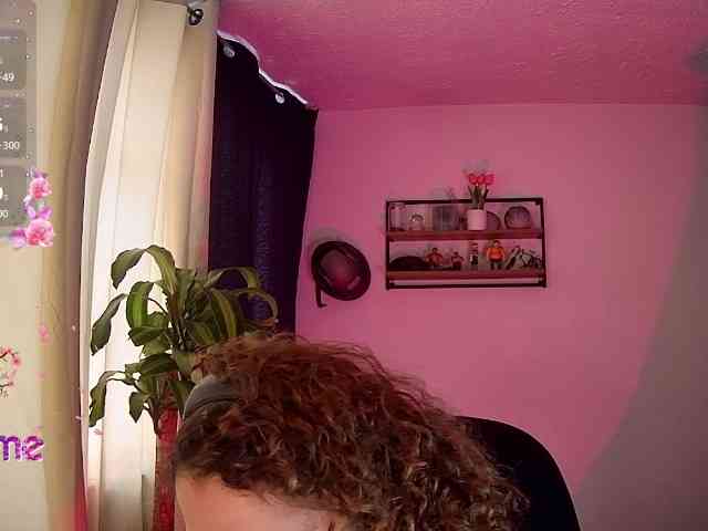 Silverlbeekerry webcam