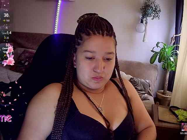 Silverlbeekerry webcam