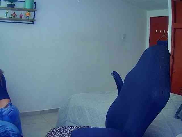 Silverlbeekerry webcam
