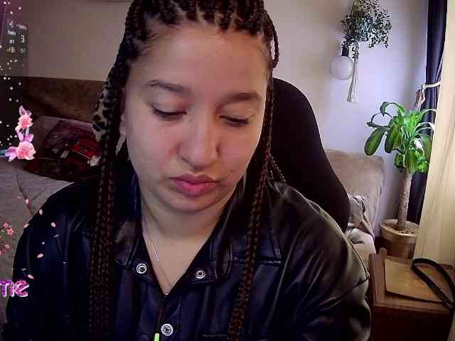 Silverlbeekerry webcam