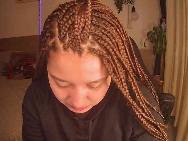 Silverlbeekerry webcam