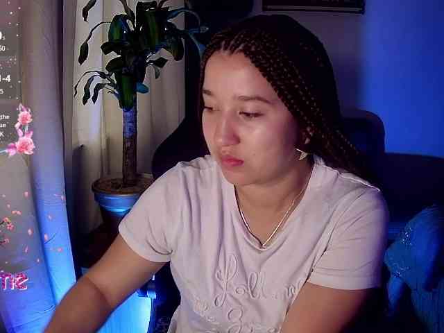 Silverlbeekerry webcam