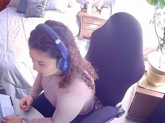 Silverlbeekerry webcam