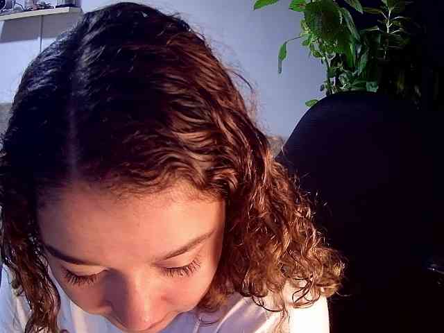 Silverlbeekerry webcam