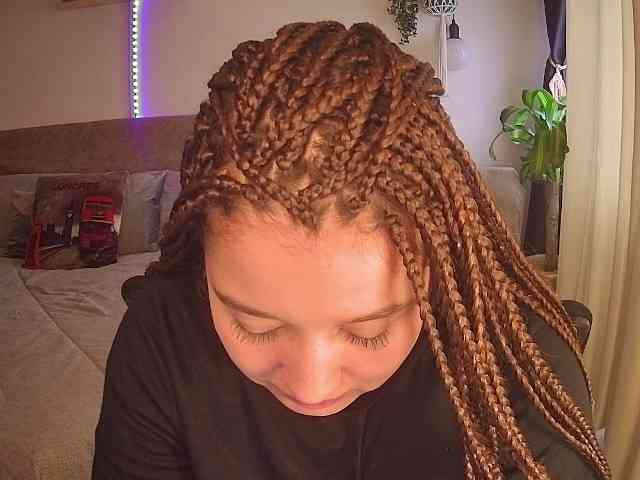 Silverlbeekerry webcam