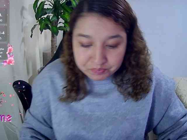 Silverlbeekerry webcam