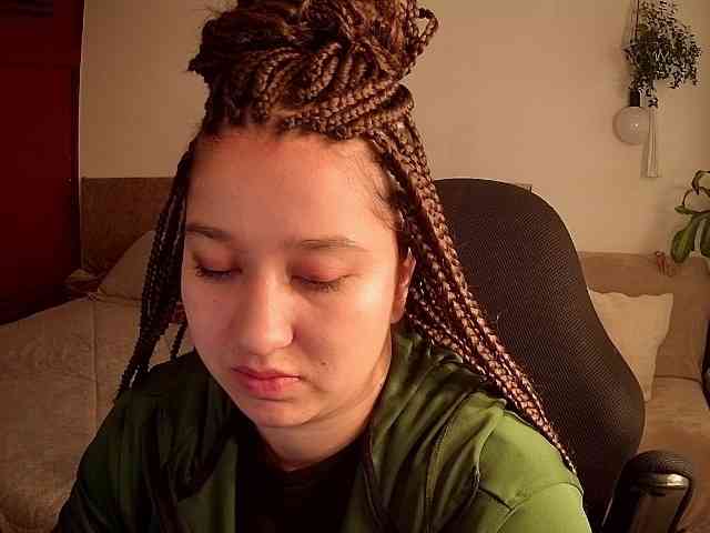 Silverlbeekerry webcam