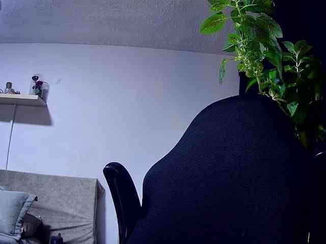 Silverlbeekerry webcam