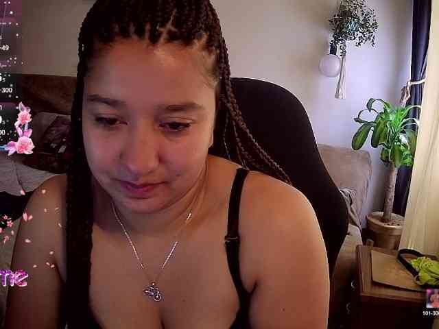 Silverlbeekerry webcam