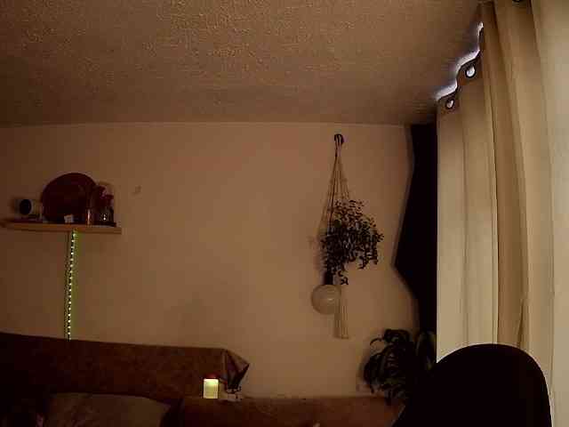 Silverlbeekerry webcam