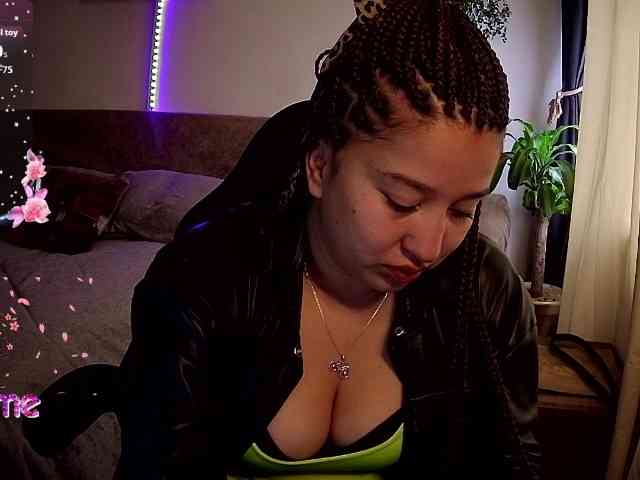 Silverlbeekerry webcam