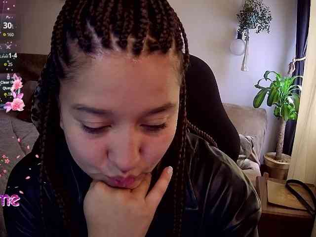 Silverlbeekerry webcam