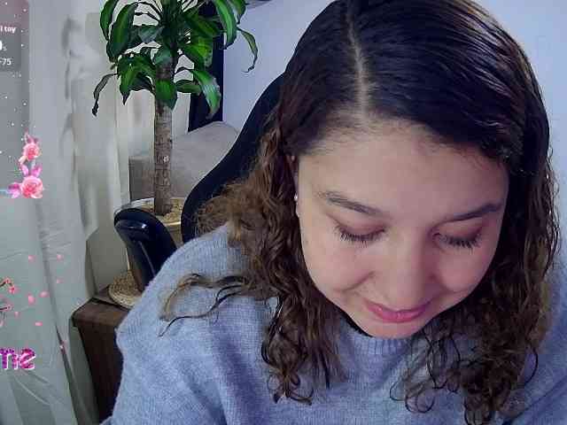 Silverlbeekerry webcam