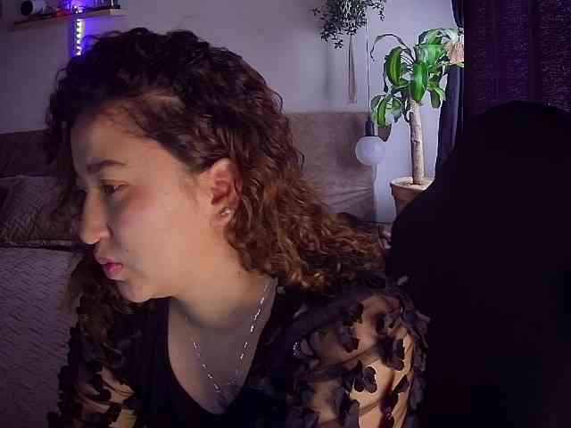 Silverlbeekerry webcam