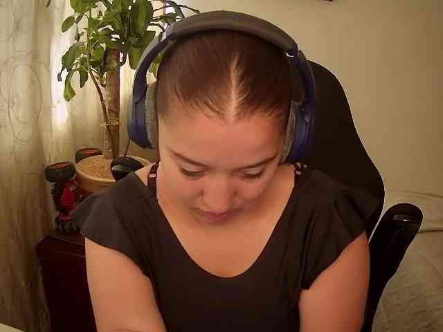 Silverlbeekerry webcam