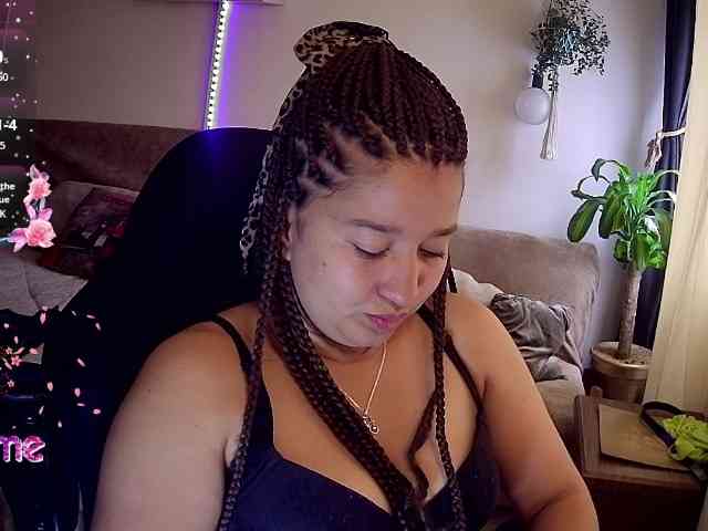 Silverlbeekerry webcam